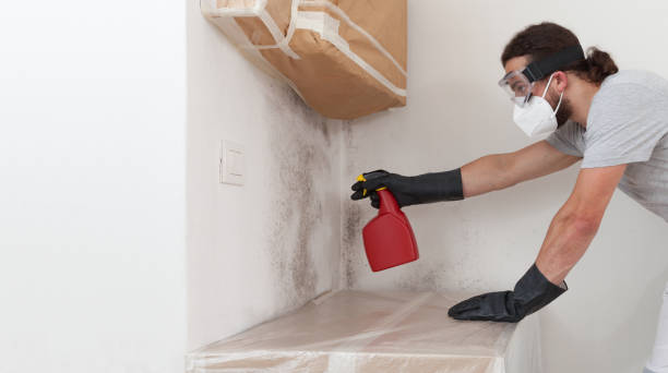 Professional Bathroom Mold Removal technician working in Brightwaters, NY